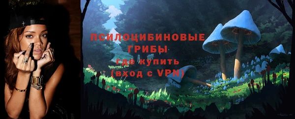 сатива Надым