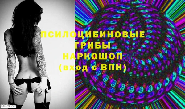 гидра Алексеевка