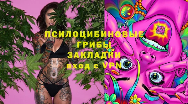 mdpv Алзамай