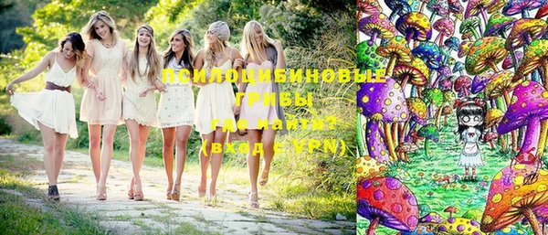 mdpv Алзамай