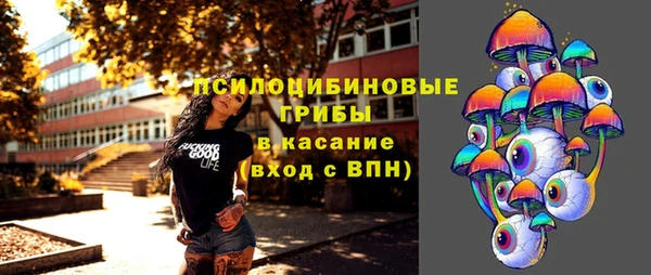 гидра Алексеевка