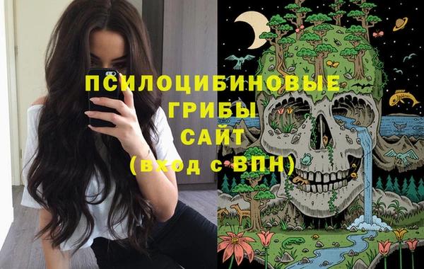 spice Арсеньев
