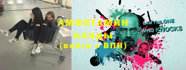 гидра Алексеевка