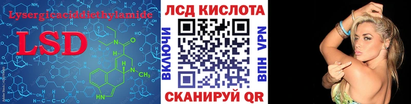 где найти наркотики  Александровское  Лсд 25 экстази ecstasy 