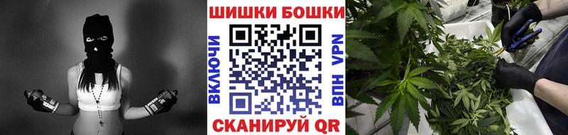 Канабис план  где купить наркотик  Александровское 